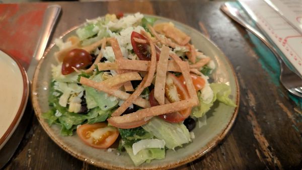 The Painted Burro by null