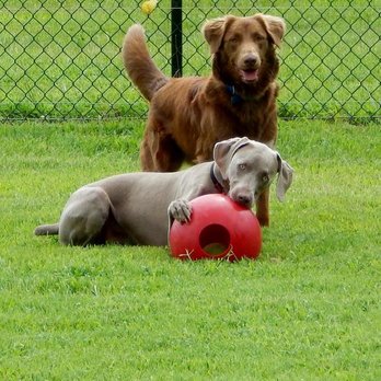 Route 66 Dog Ranch - Pet Training Near Me - Sapulpa, Oklahoma Route 66 Dog Ranch - Pet Training Near Me - Sapulpa, Oklahoma