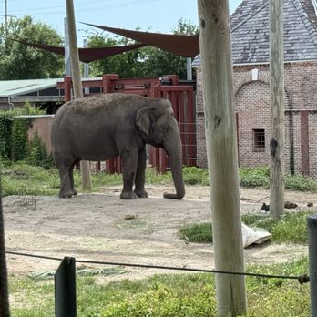 Audubon Zoo - Aquariums Near Me - New Orleans, Louisiana