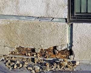 Slide of Gaveet Waterproofing & Restoration