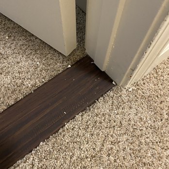 Staydown Moving 22 Photos Movers Chula Vista Ca Phone Number Yelp