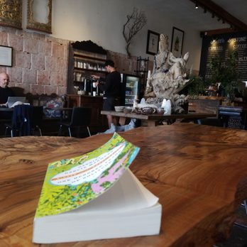 Kettle & Stone - Getting ready to read. - Coffee & Tea Near Me - San Diego, California Kettle & Stone - Getting ready to read. - Coffee & Tea Near Me - San Diego, California
