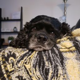 Bella