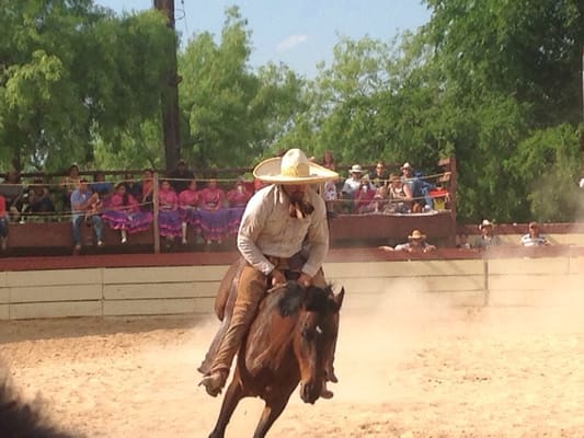 San Antonio Charro Association by null