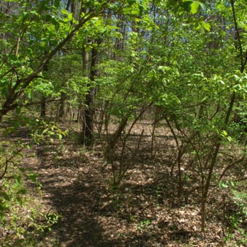 Rush Run Park - Parks Near Me - Columbus, Ohio Rush Run Park - Parks Near Me - Columbus, Ohio