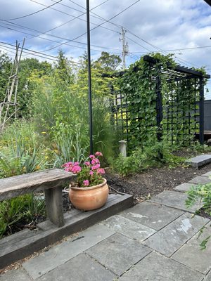 The Peggy, Walther Gardens Century Snowballs & Treats by null