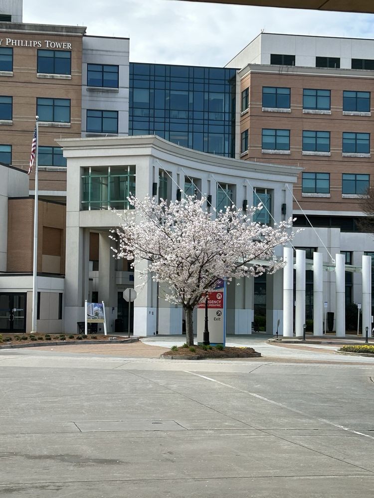 Wellstar Kennestone Hospital - patient advocate in Marietta, GA