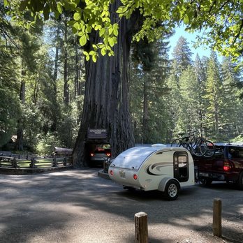 Drive-Thru Tree - Our teardrop trailer veering to the right for parking lot. Vehicles towing prohibited. - Parks Near Me - Leggett, California Drive-Thru Tree - Our teardrop trailer veering to the right for parking lot. Vehicles towing prohibited. - Parks Near Me - Leggett, California