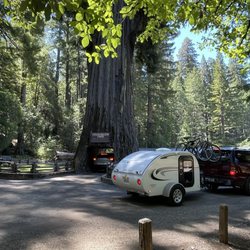 Drive-Thru Tree - Our teardrop trailer veering to the right for parking lot. Vehicles towing prohibited.
