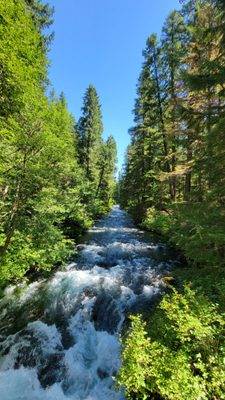 Sahalie Falls by null