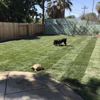 Rodriguez Landscaping - Gardeners Near Me