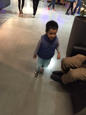 DFO South Wharf by null