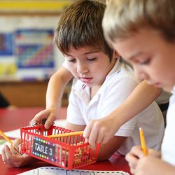 St Pius School - St. Pius School is a K - 8 Catholic school focused on strong academics, fostering community, and an active faith life.
