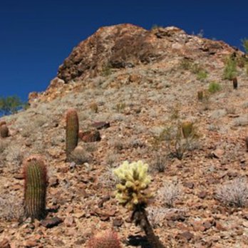 Lookout Mountain Preserve - Parks Near Me - Phoenix, Arizona Lookout Mountain Preserve - Parks Near Me - Phoenix, Arizona