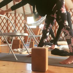Michelle Mazur Life Wellness - Yoga therapy with Michelle in a 200-Hour Yoga Teacher Training + 300-Hour Yoga Teacher Training