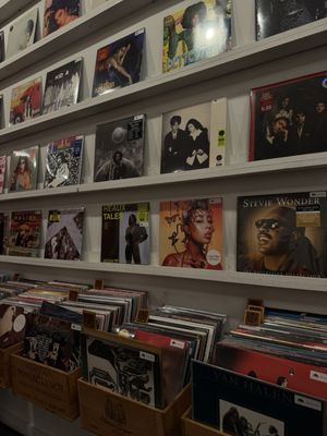 Spinster Records by null