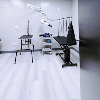 Niuniu Magic Spa & Grooming - Pet Groomers Near Me - Milpitas, California Niuniu Magic Spa & Grooming - Pet Groomers Near Me - Milpitas, California