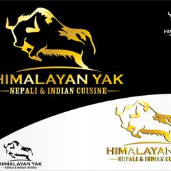 Himalayan Yak