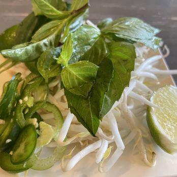 Pho Grand Bayside - bean sprout, basil leave, jalapeno, and lime on the side - Vietnamese Near Me - Bayside, New York Pho Grand Bayside - bean sprout, basil leave, jalapeno, and lime on the side - Vietnamese Near Me - Bayside, New York