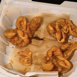 A deep fried earwig bug with a side of wontons A deep fried earwig bug with a side of wontons