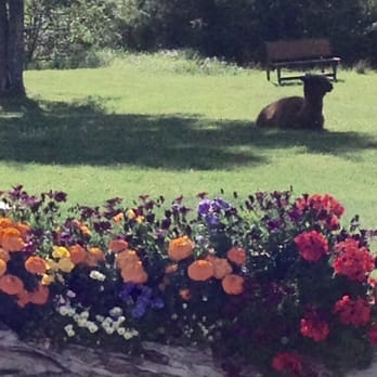 Outdoorsy Bayfield - RV Parks Near Me - Bayfield, Colorado Outdoorsy Bayfield - RV Parks Near Me - Bayfield, Colorado