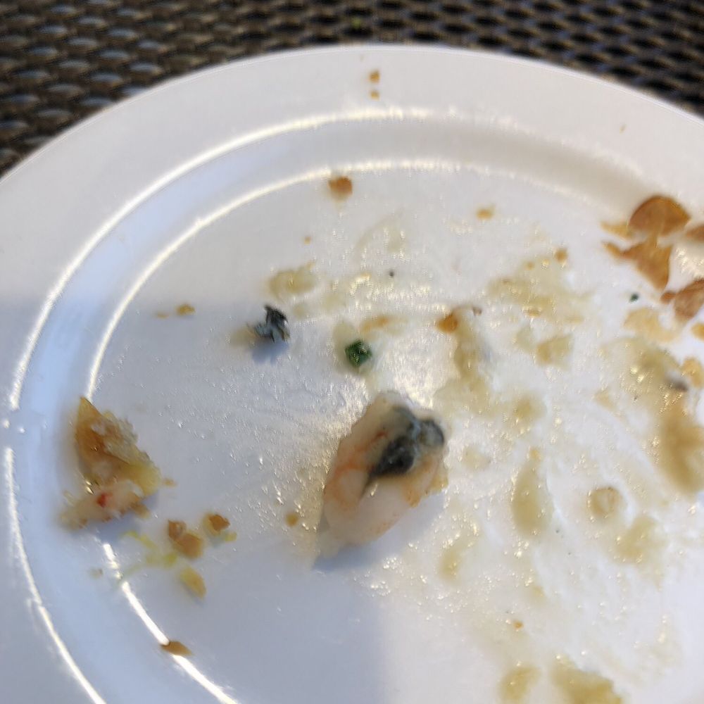 Moldy shrimp?!