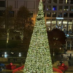 Huge lighted tree in Union Square