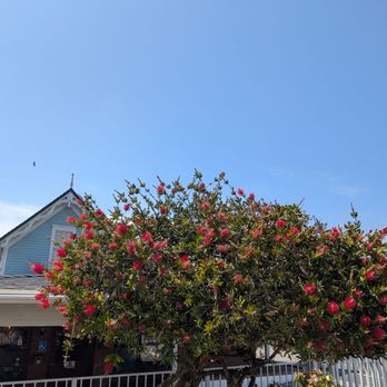 Bluebird Inn - Pretty - Hotels Near Me - Cambria, California Bluebird Inn - Pretty - Hotels Near Me - Cambria, California