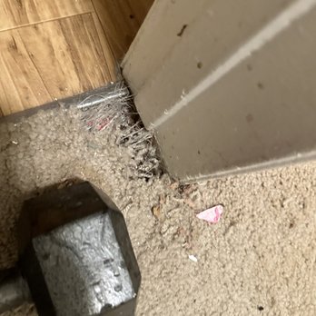 Genuine Carpet Repairs - Cat danage bedroom door - Carpeting Near Me