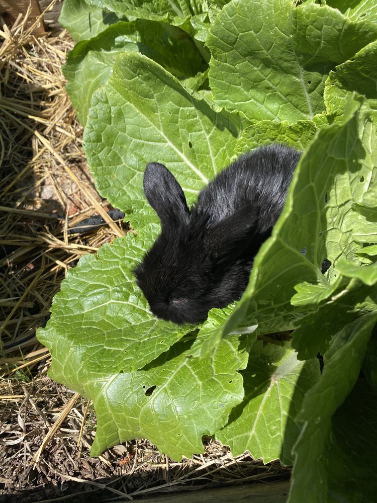 EAST BAY MOBILE NOTARY AFFORDABLE & RELIABLE NOTARY PUBLIC