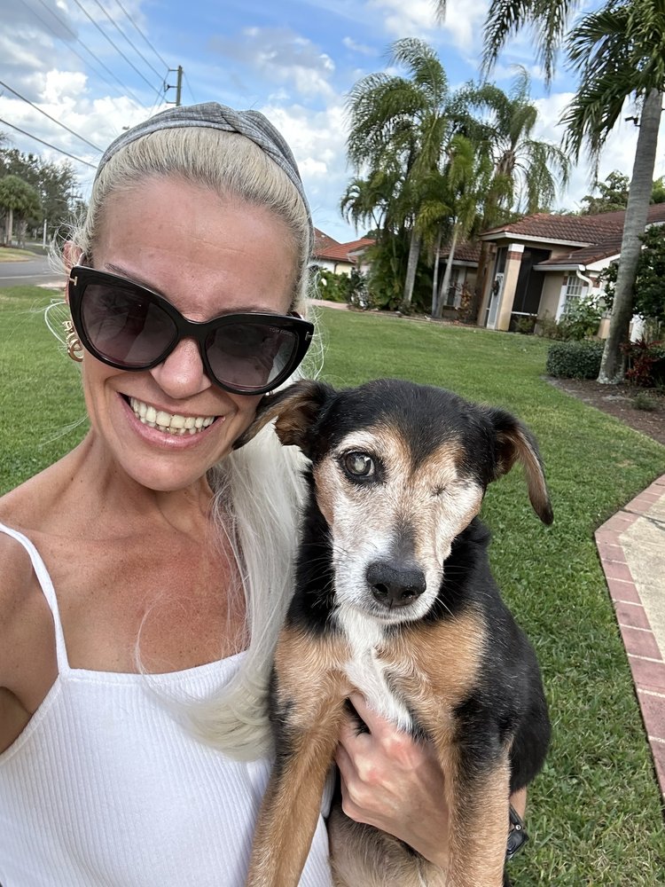 Humane Society of the Treasure Coast Image