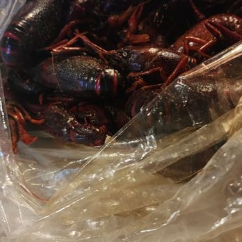 Cajun Craven - Boiled crawfish... note that there's not a bunch of "stuff" on the shells - Cajun/Creole Near Me - Houston, Texas Cajun Craven - Boiled crawfish... note that there's not a bunch of "stuff" on the shells - Cajun/Creole Near Me - Houston, Texas