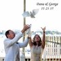 Photo of Sarasota Dove Release