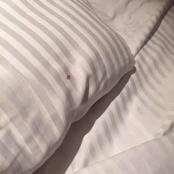 Secrets The Vine Cancun - Blood on the bed - Hotels Near Me - Cancún, ROO Secrets The Vine Cancun - Blood on the bed - Hotels Near Me - Cancún, ROO