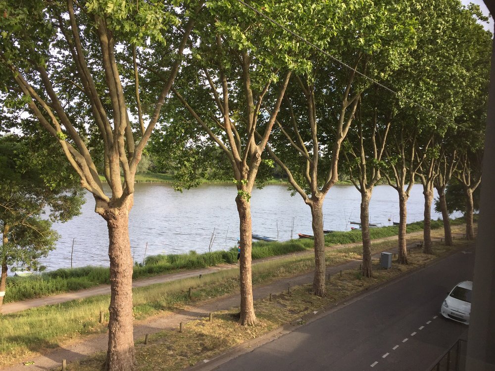 BELLE RIVE - Updated December 2024 - 32 promenade de Reculée, Angers ...