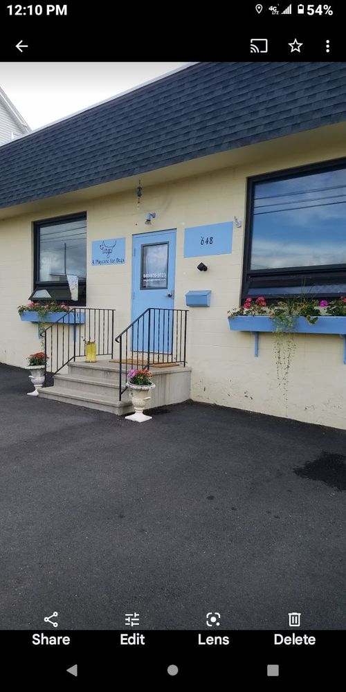 Wags A Playcare For Dogs - pet boarding facility in West Hartford, CT