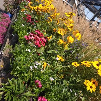 Merrifield Garden Center - Nurseries & Gardening Near Me - Merrifield, Virginia