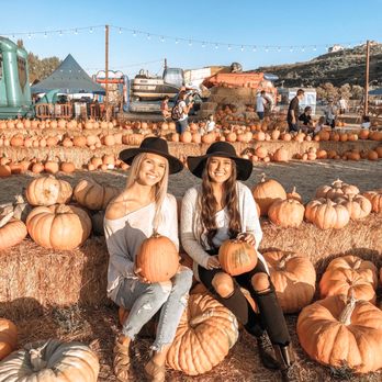 Pumpkin Palooza - Pumpkin Patches Near Me - Carlsbad, California Pumpkin Palooza - Pumpkin Patches Near Me - Carlsbad, California
