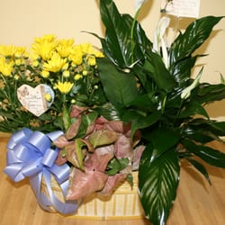 Henningsen's Flowers and Gifts - Blooming and green plants.