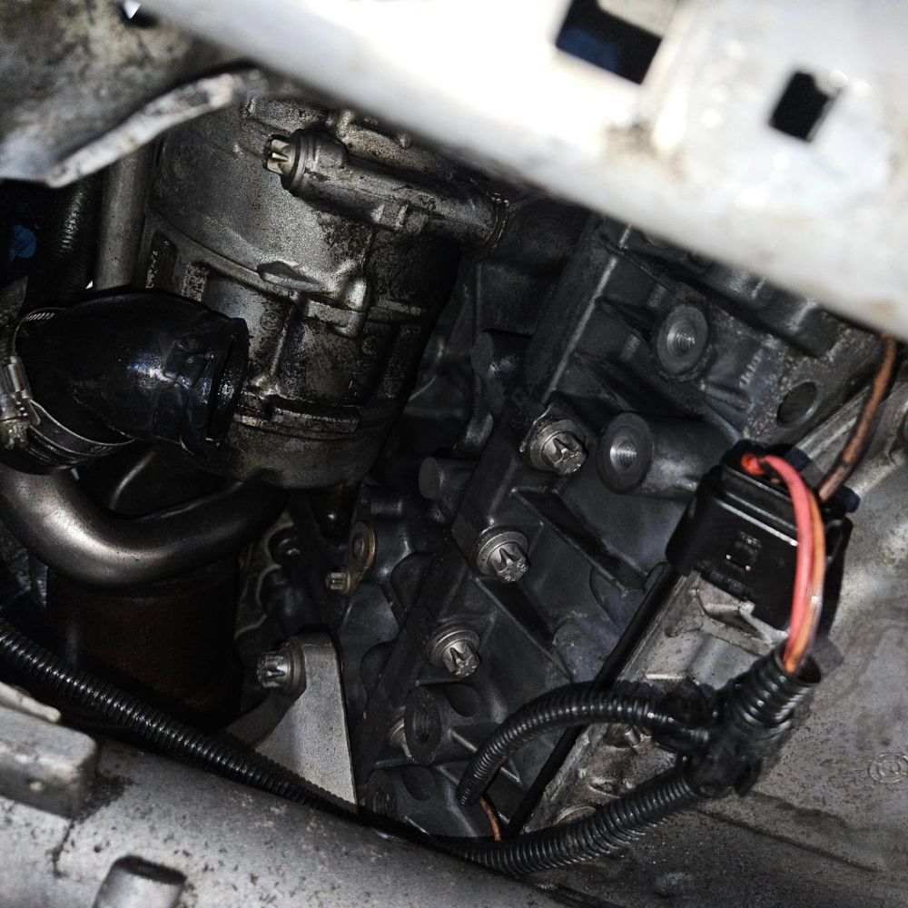 The Homestead On The Line