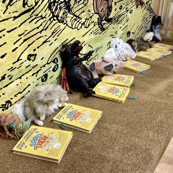 Barnes & Noble Booksellers - My 2.5 year old daughter placed the puppets up against the stage wall and then gave each a book. It was the cutest thing ever. - Bookstores Near Me - Riverside, California