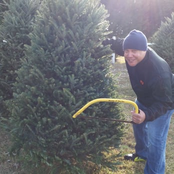 Feezer's Farm - Our North Carolina tree we faked a cut down! - Christmas Trees Near Me - Marriottsville, Maryland