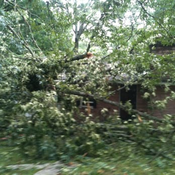 Tip Top Tree Care - Tree Services Near Me - Powell, Tennessee Tip Top Tree Care - Tree Services Near Me - Powell, Tennessee