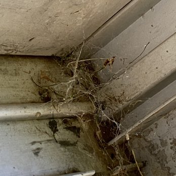 Green Flash - Webs on slider (bottom) - Pest Control Near Me - Vista, California Green Flash - Webs on slider (bottom) - Pest Control Near Me - Vista, California