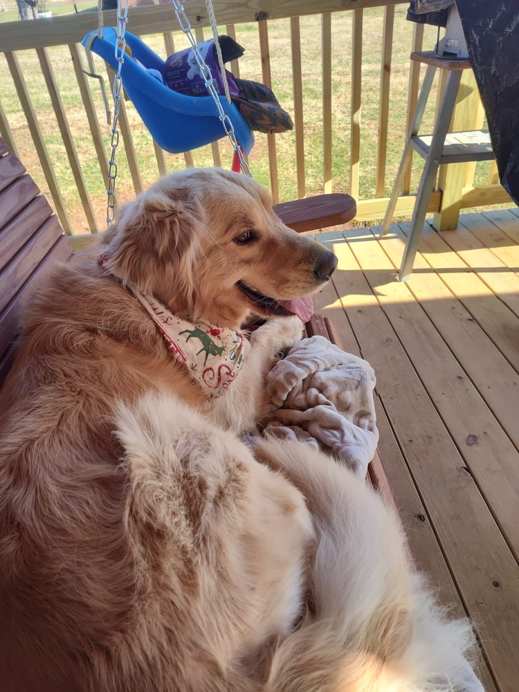 BARKINGDALE’S _HALLS CROSSROADS Updated October 2024 6826