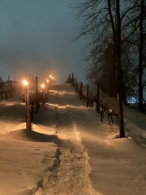 Icicle Ridge Winery by null