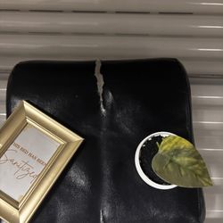 Fabutan - Stunning dollar store fake plant to distract from the pleather pillow that obviously needs to be replaced