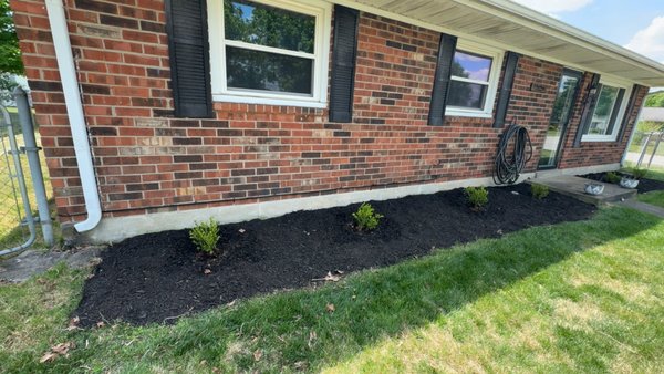 Residential Project 3 - Crumps Landscaping
Serving both residential and commercial clients, Crumps Landscaping brings over 6 years of experience to every project. Whether you need a complete landscape transformation, routine maintenance, or custom design, our team is ready to make your outdoor vision a reality. Contact us today—your dream landscape is just one call away! Residential Project 3 - Crumps Landscaping
Serving both residential and commercial clients, Crumps Landscaping brings over 6 years of experience to every project. Whether you need a complete landscape transformation, routine maintenance, or custom design, our team is ready to make your outdoor vision a reality. Contact us today—your dream landscape is just one call away!