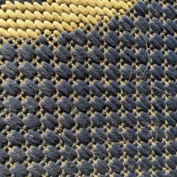 Dog hair on carpet