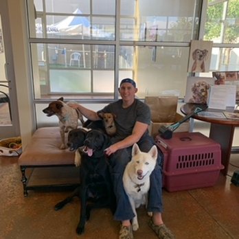 K9 Specialty Services - We handle all breeds. - Pet Groomers Near Me